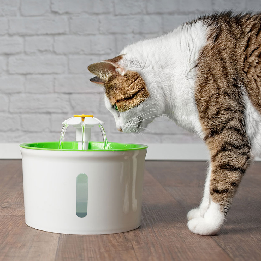 La meilleures des fontaines à eau pour Chat Catit La meilleures des fontaines à eau pour Chat Catit